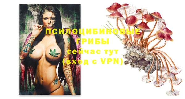 марки nbome Мензелинск