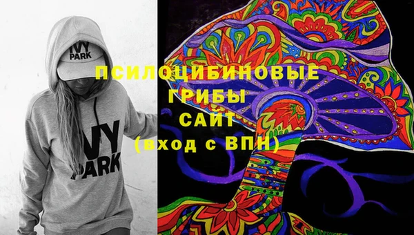 первитин Сатка