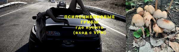 мдпв Саяногорск