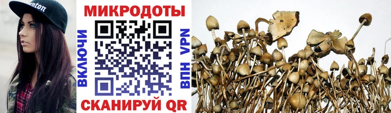 Псилоцибиновые грибы Magic Shrooms  купить   Удачный 